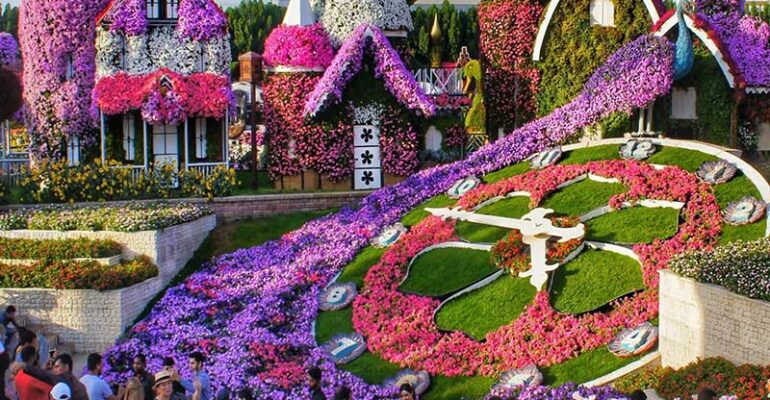 میراکل گاردن یا باغ معجزه دبی وسیع ترین باغ گل طبیعی جهان است که با پوشش المان های عظیم و جالب با گل، هر ساله گردشگران زیادی را به خود جذب میکند