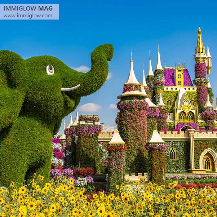 میراکل گاردن دبی، باغ گل های دبی